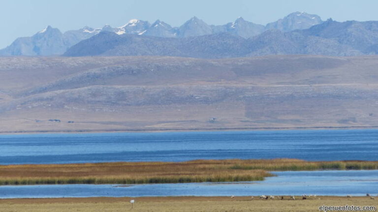 lago junin 006